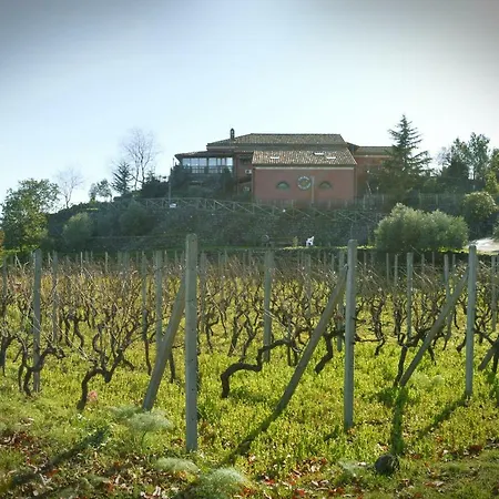 Kikajon Farm stay *