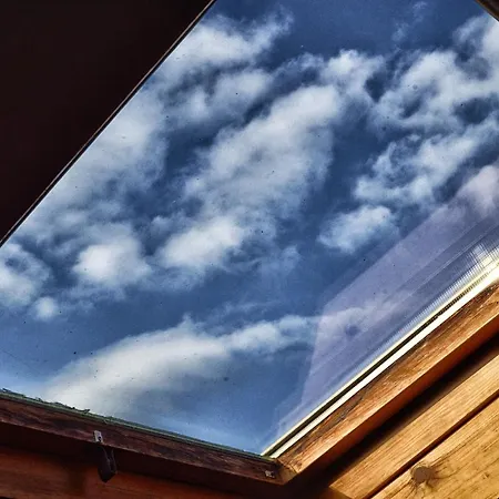 팜스테이 Kikajon 린구아로싸