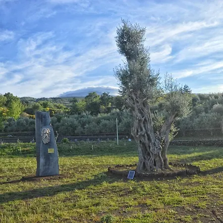 Kikajon 팜스테이 린구아로싸