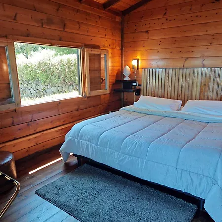 Kikajon 팜스테이