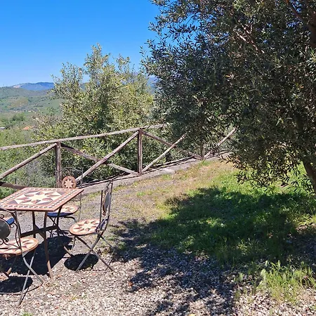 팜스테이 Kikajon 린구아로싸