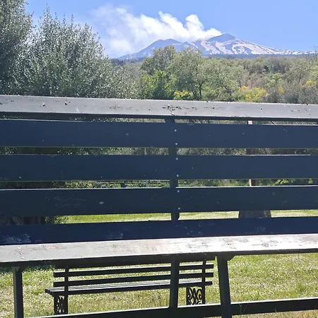 팜스테이 Kikajon *