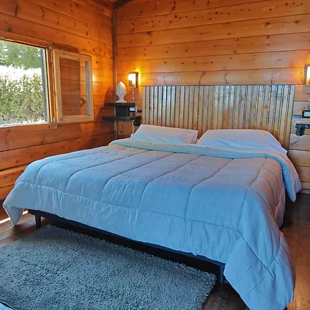 Kikajon * 린구아로싸