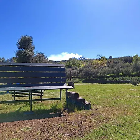 Kikajon * 린구아로싸