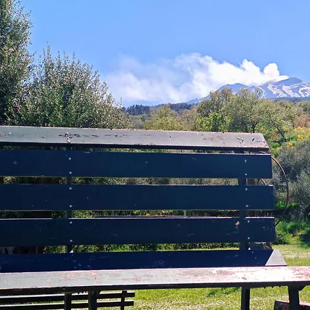 팜스테이 Kikajon