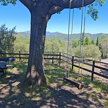 팜스테이 Kikajon *