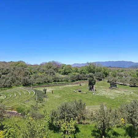 팜스테이 Kikajon *