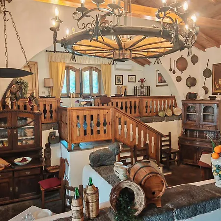 Kikajon 린구아로싸