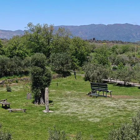 Kikajon * 린구아로싸