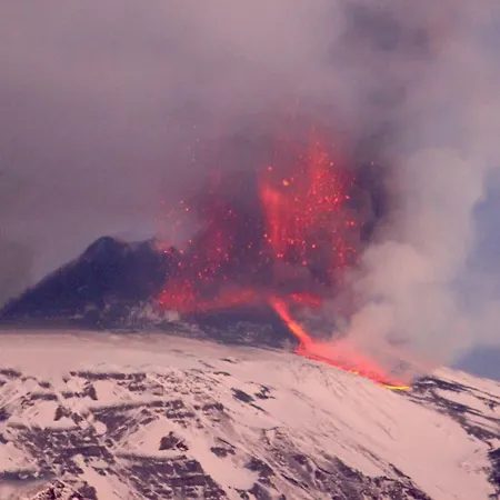 팜스테이 Kikajon 린구아로싸