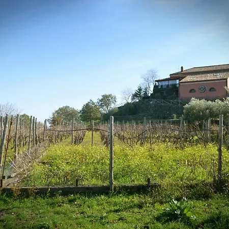 Kikajon 팜스테이 린구아로싸